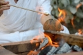  Homa (rituel védique du feu)  
