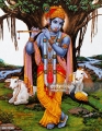 Fête d'Anniversaire de Krishna